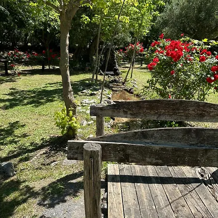 Ciclopark مورانو كالابرو