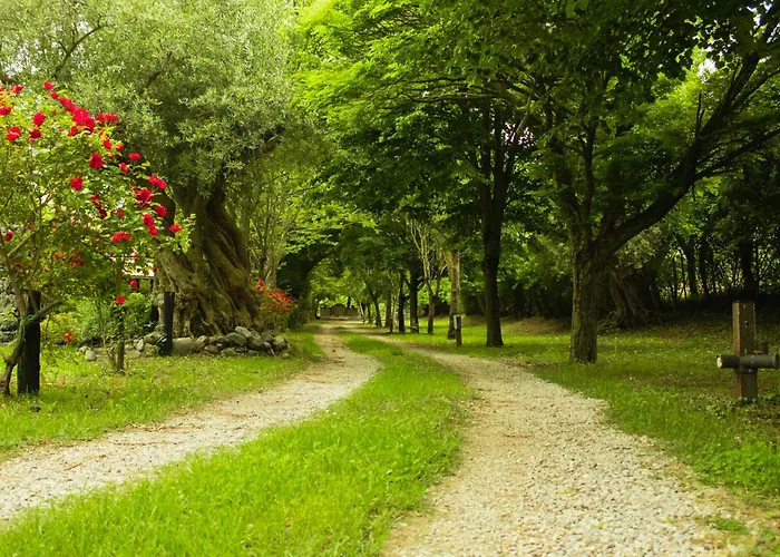 Alojamento de Turismo Rural Ciclopark